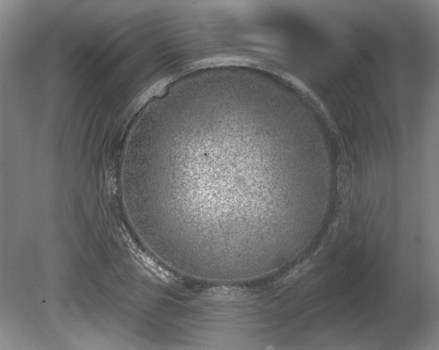 X0000080720929200612221223