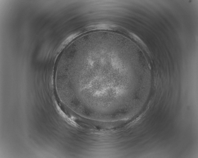 X0000080720938200612221223