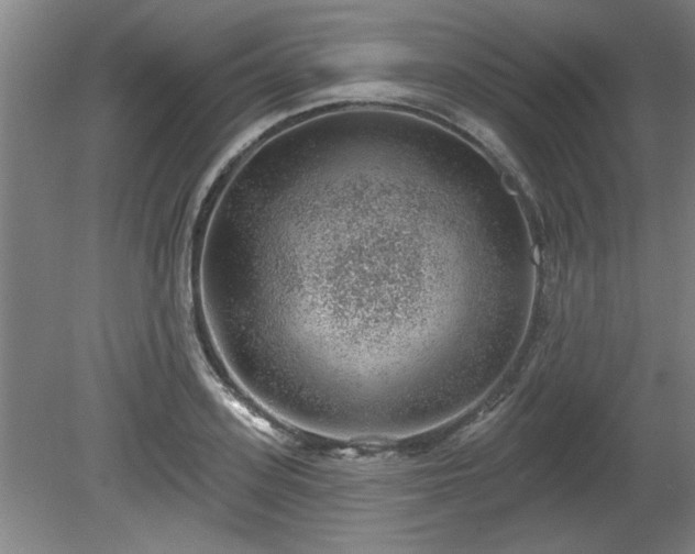 X0000080720939200612221223