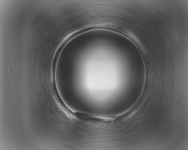 X0000080720940200612221223