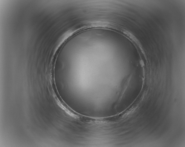 X0000080720941200612221223