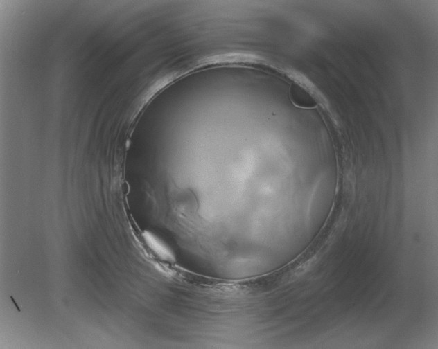 X0000080720945200612221223