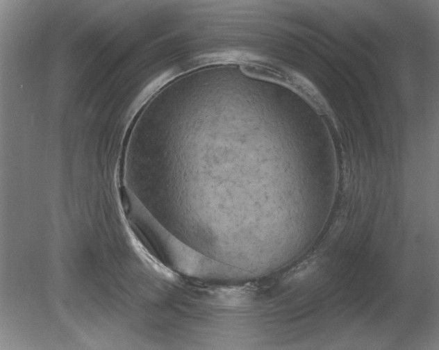 X0000080720946200612221223