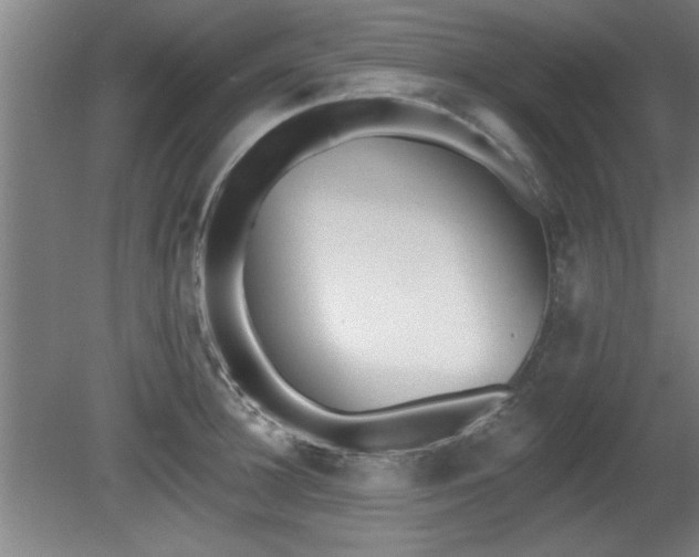 X0000080720948200612221223