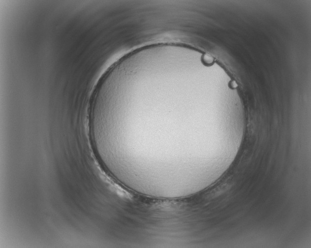 X0000080720950200612221223