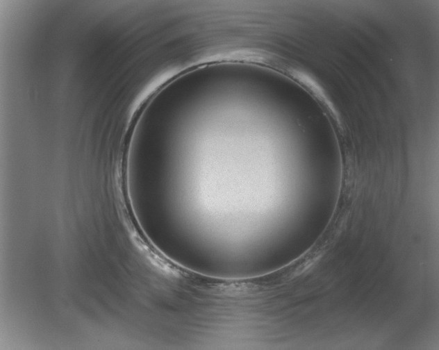 X0000080720952200612221224