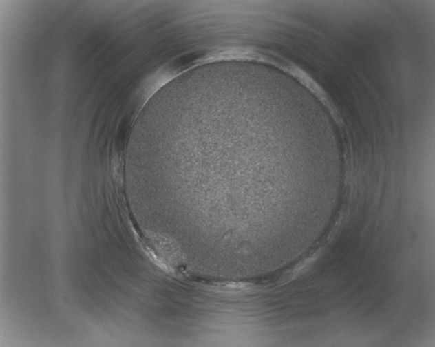 X0000080720953200612221224