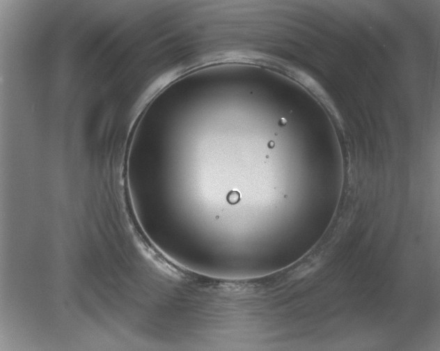 X0000080720954200612221224