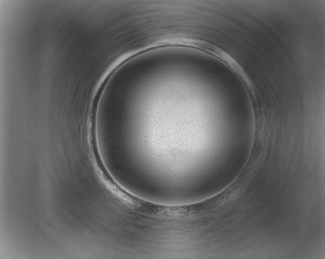 X0000080720955200612221224