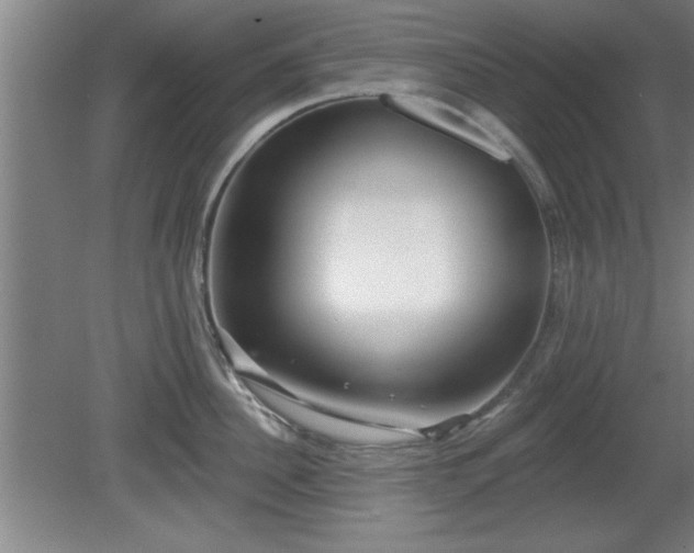 X0000080720956200612221224