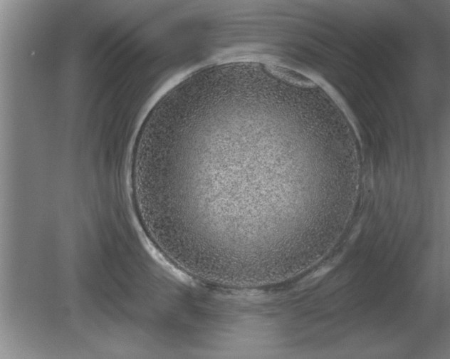 X0000080720957200612221224