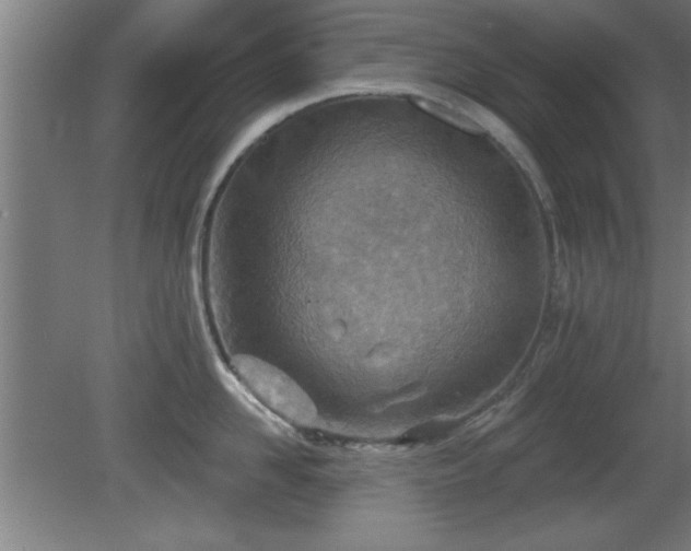 X0000080720958200612221224