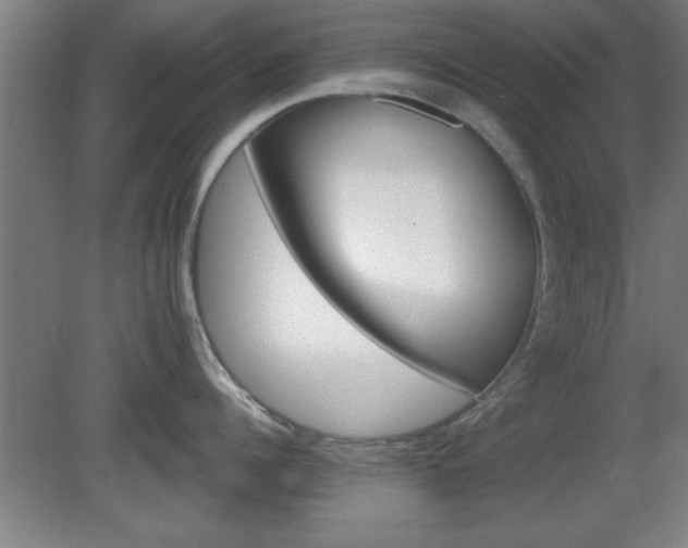 X0000080720960200612221224