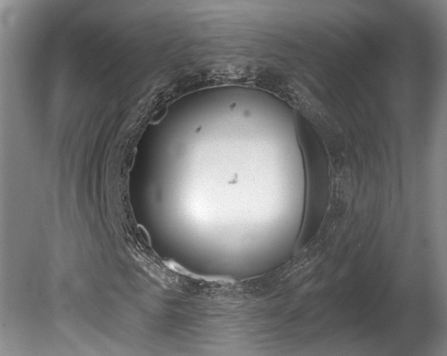 X0000080720961200612221223