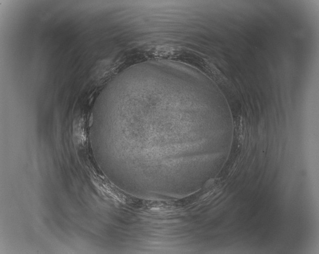 X0000080720962200612221223