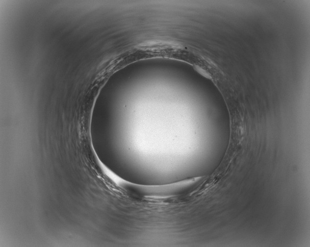 X0000080720965200612221223