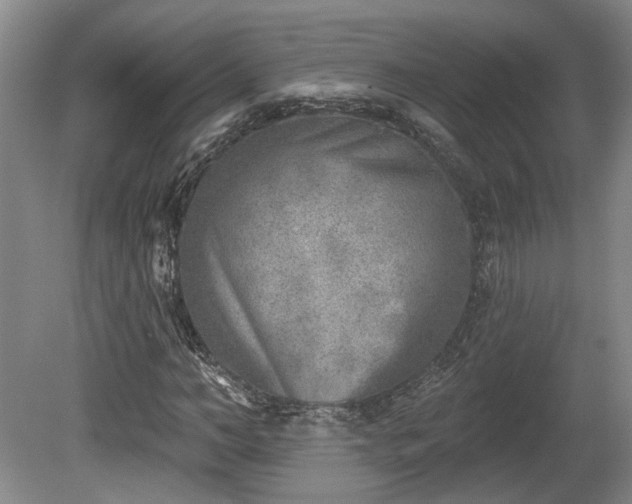 X0000080720966200612221223