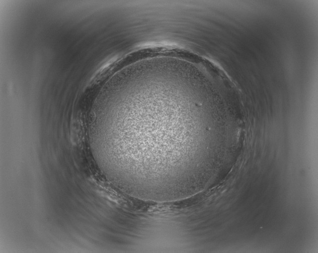 X0000080720967200612221223