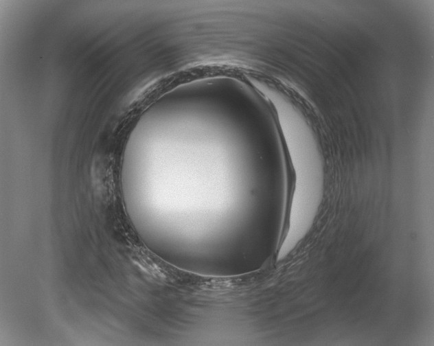 X0000080720968200612221223