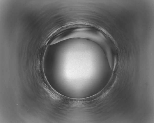 X0000080720969200612221223