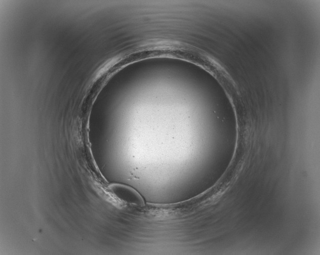 X0000080720970200612221223