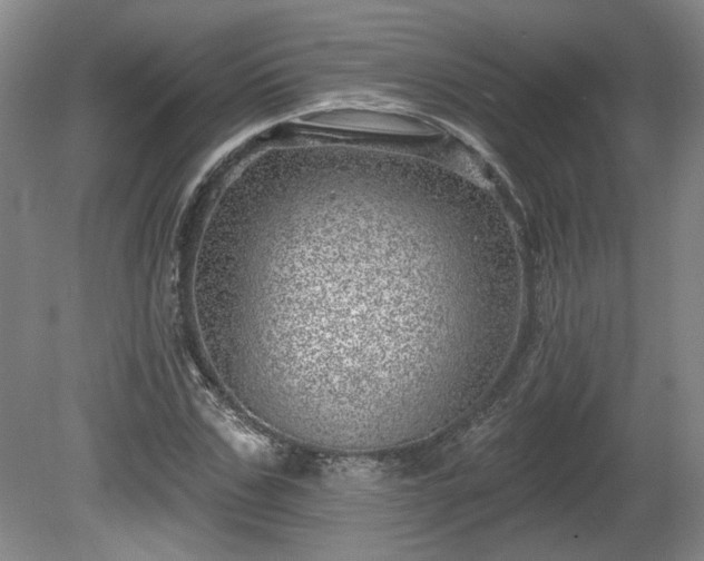 X0000080720971200612221223