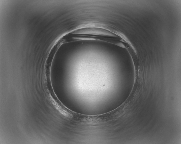 X0000080720972200612221223