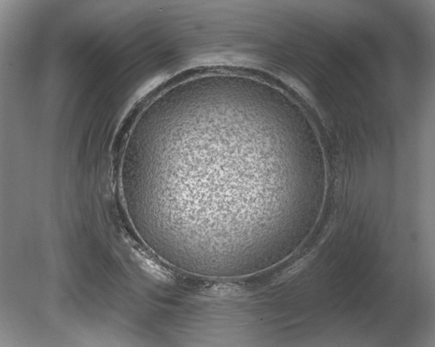 X0000080720974200612221223