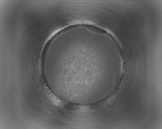 X0000080720975200612221223