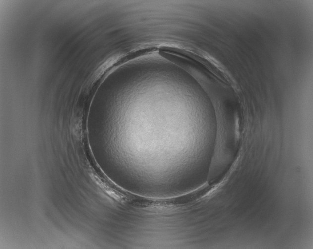 X0000080720977200612221223