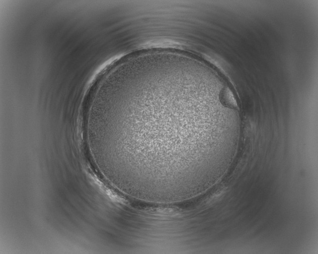 X0000080720979200612221223