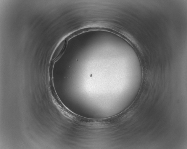 X0000080720980200612221223