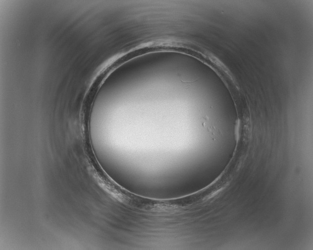 X0000080720981200612221223