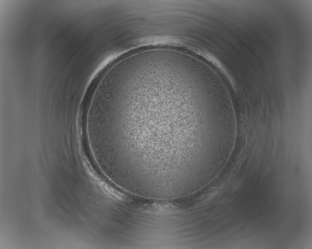 X0000080720983200612221222