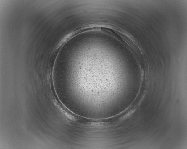 X0000080720985200612221222