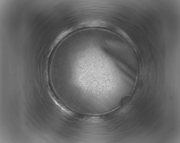 X0000080720986200612221222