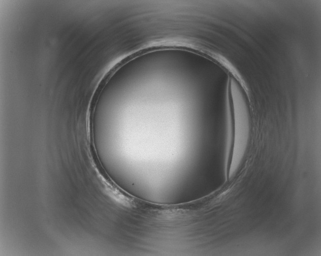 X0000080720988200612221222