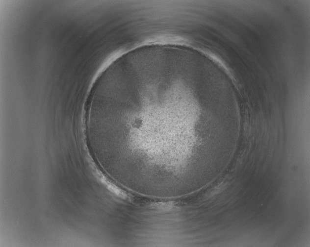 X0000080720990200612221222