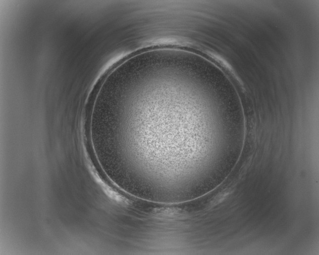 X0000080720991200612221222