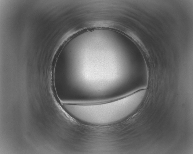 X0000080720992200612221222