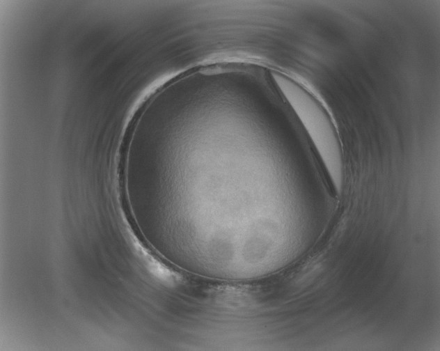 X0000080720995200612221222