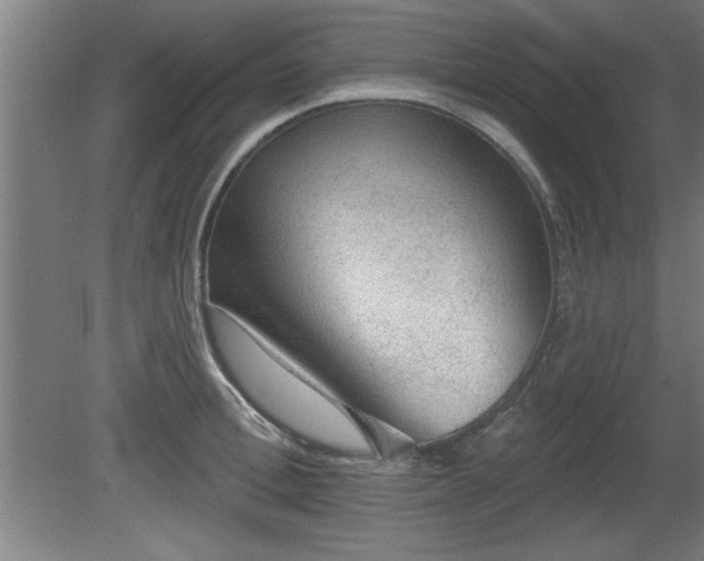 X0000080720996200612221222