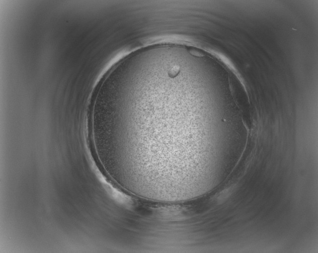 X0000080720999200612221222