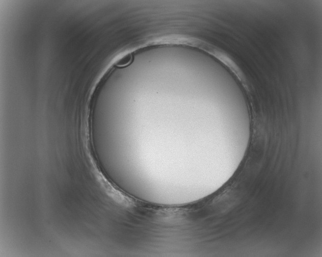 X0000080721000200612221222