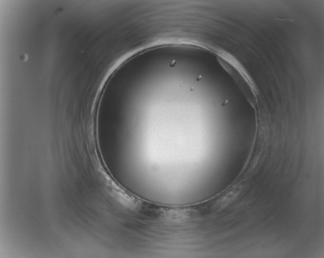 X0000080721004200612221222