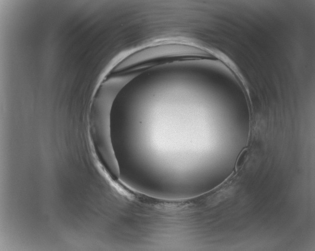 X0000080721005200612221222