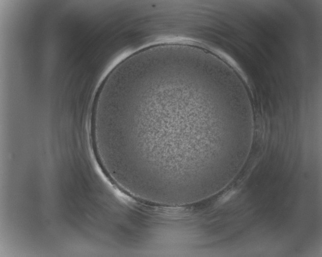 X0000080721007200612221222