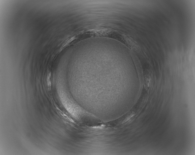 X0000080721010200612221221