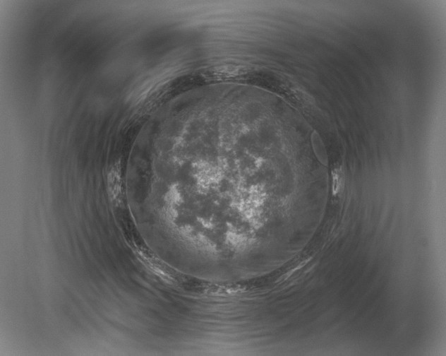 X0000080721011200612221221