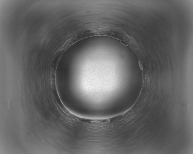 X0000080721012200612221221